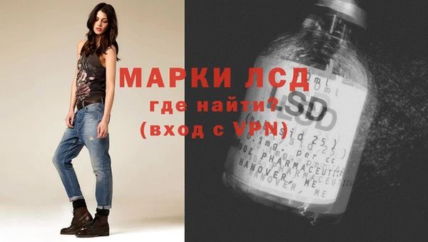 шишки Абаза