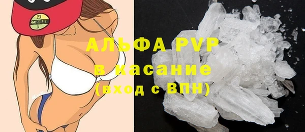 шишки Абаза