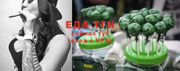 индика Абинск