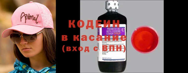 шишки Пестово