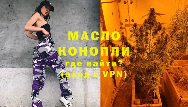 индика Абинск