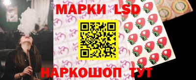 стаф Сланцы