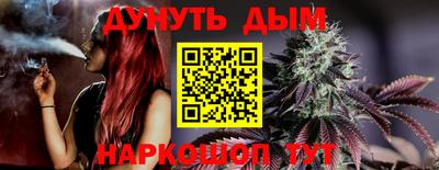 стаф Сланцы