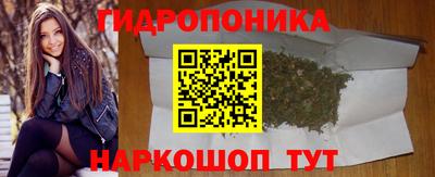 стаф Сланцы