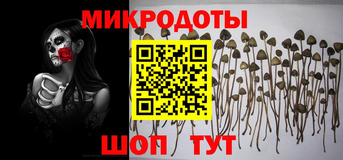Псилоцибиновые грибы ЛСД Копейск