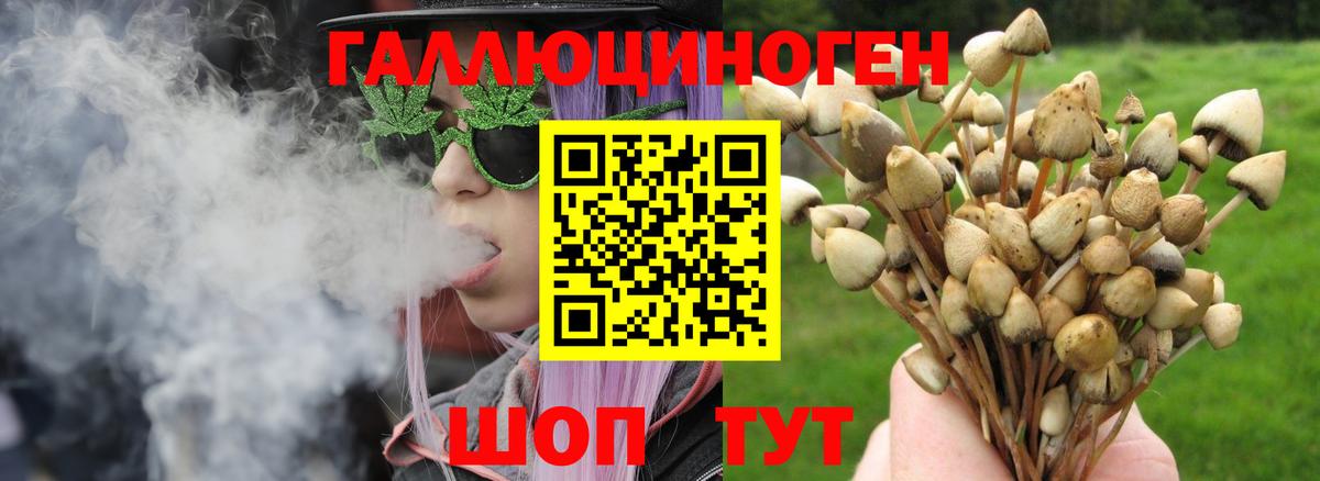 сколько стоит  Галлюциногенные грибы Psilocybe  Вход с VPN  Копейск 